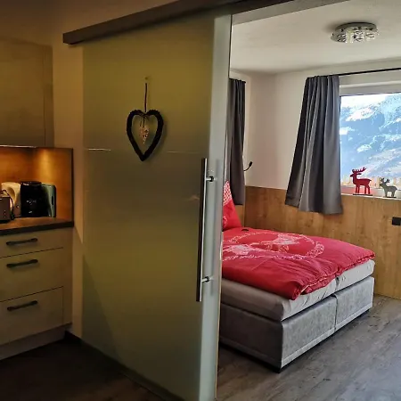 Apartmán Franz Zell am Ziller